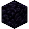 Obsidian